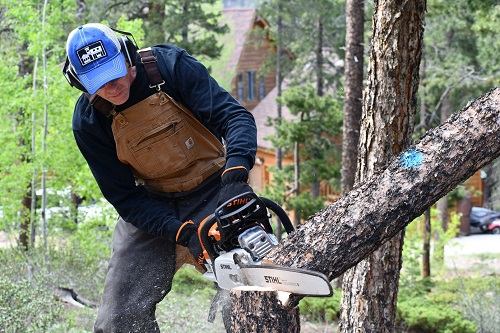 A Wildfire Partners participant thins trees from the forest near his house. Thinning trees and shrubs within the defensible space area near a home helps protect the structure from wildfire. (Photo courtesy Wildfire Partners)